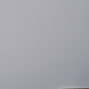 Печалби или загуби?