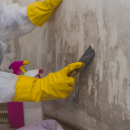 Мухъл у дома? Ами сега?