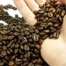 Многото кафе застрашава плода на бременните жени