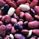 Смилянският боб