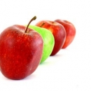 Съхранение на плодове и зеленчуци